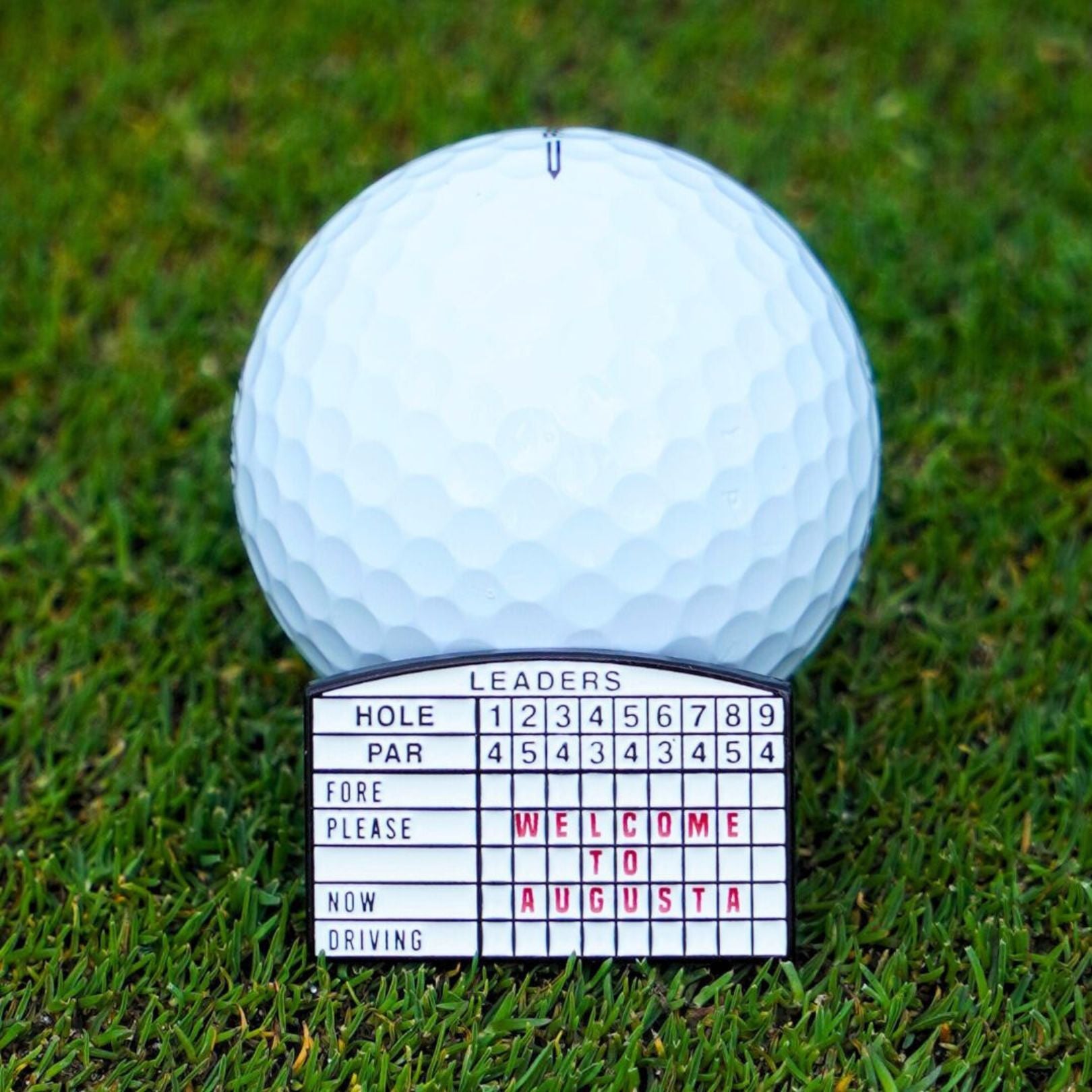 Golf ball marker with a scorecard on grass